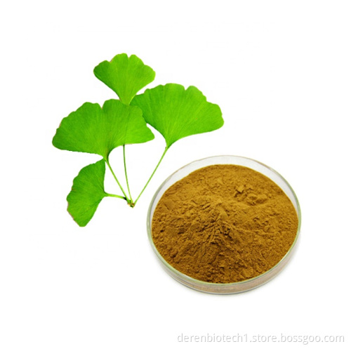 Ginkgo Leaf Extract 24.0%Flavones 6.0% lactones